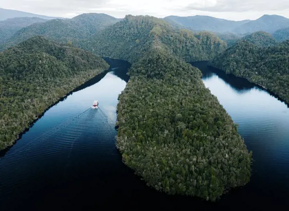 Aerial view of a World Heritage Cruises boat travelling down the Gordon River through forested wilderness, Strahan, Tasmania