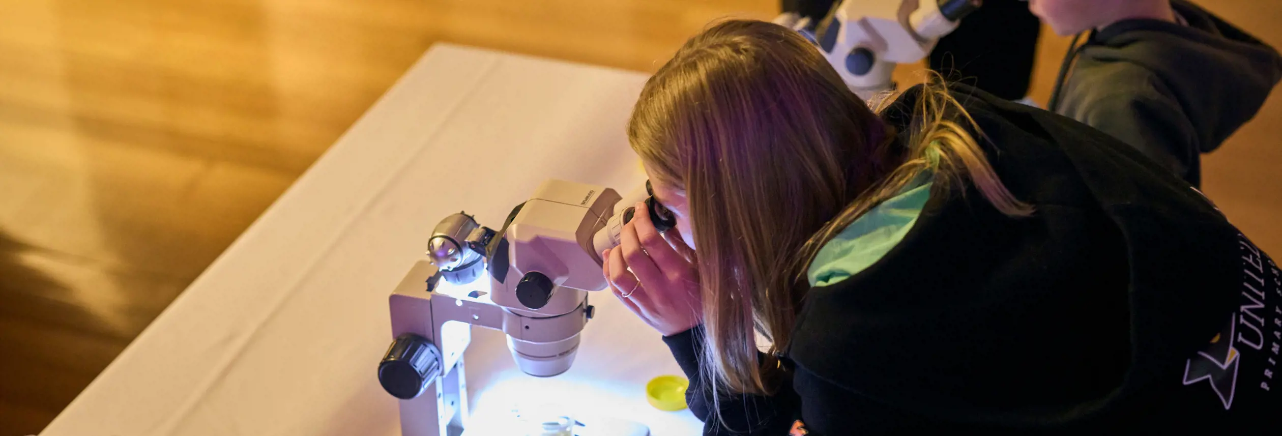 Young visitors examining specimens through microscopes at Beaker Street Festival, Tasmanian Museum and Art Gallery, Hobart