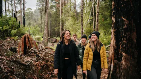 A group of friends smile as they walk along a forest trail among tall trees at Tahune Adventures in Geeveston