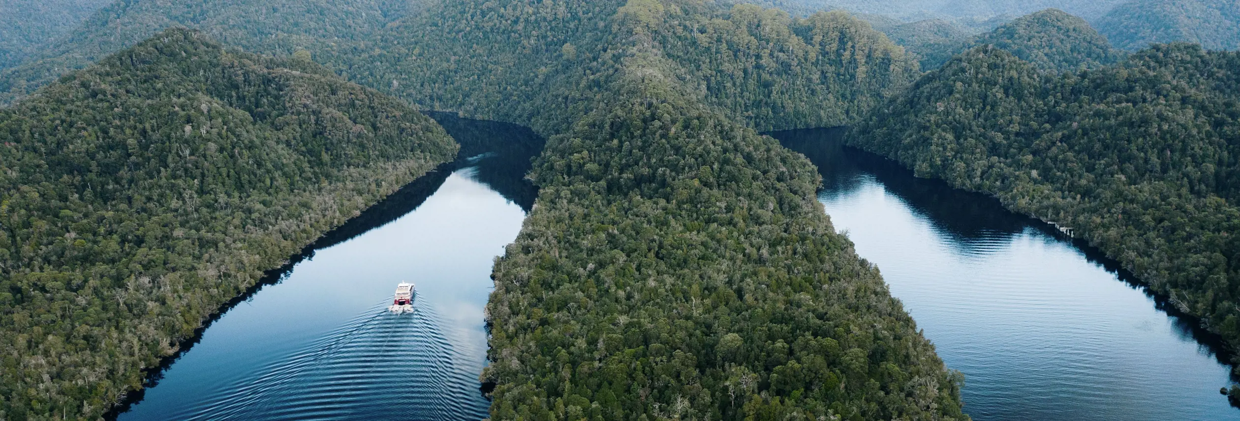 Aerial view of a World Heritage Cruises boat travelling down the Gordon River through forested wilderness, Strahan, Tasmania