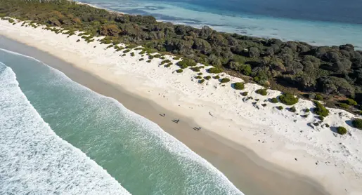 Aerial view of walkers on a sandy beach on The Maria Island Walk, Maria Island National Park, Tasmania