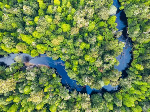 Aerial view of the Styx River winding through dense forest, Styx State Forest