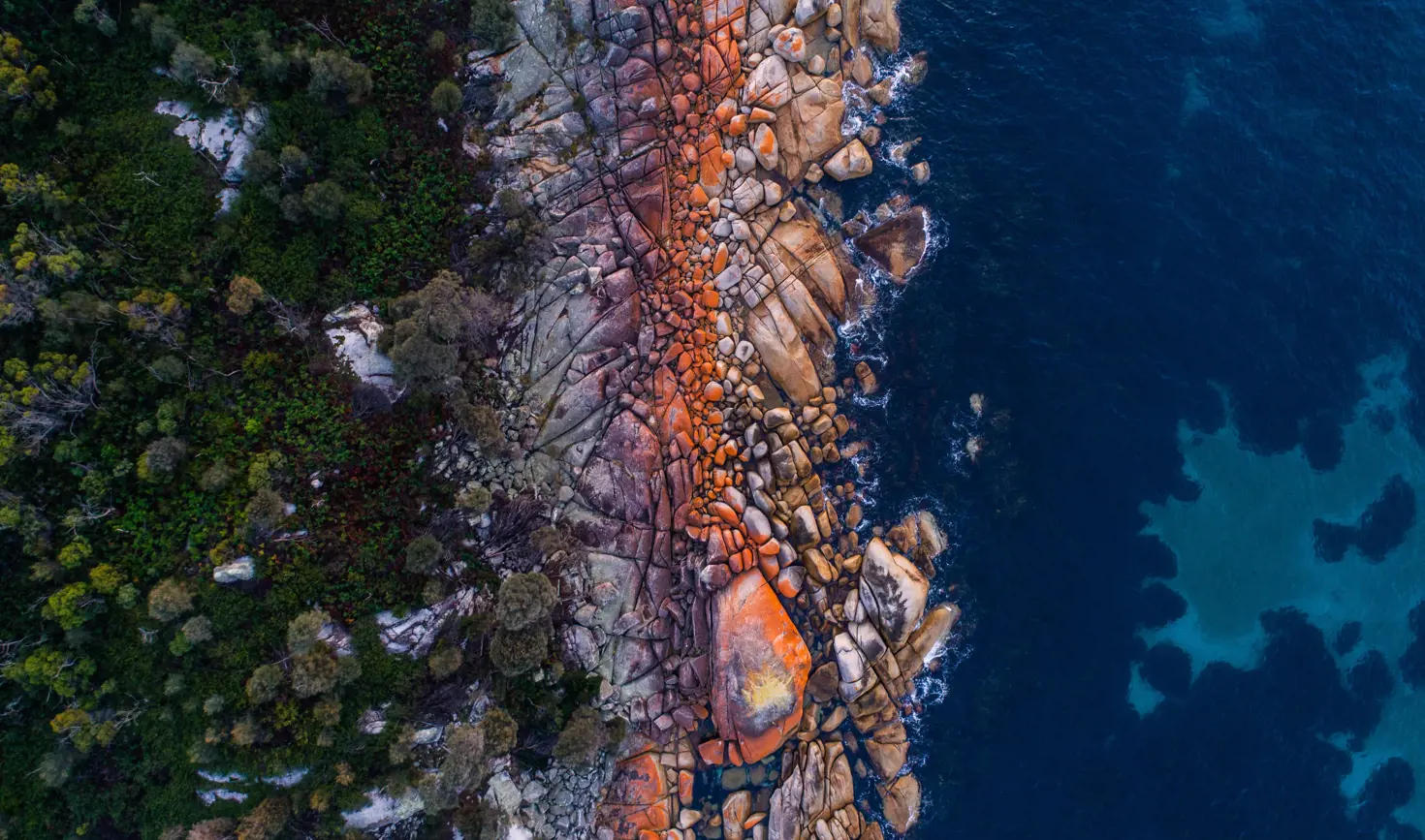 Aerial view of orange lichen covered granite boulders meeting deep blue ocean at larapuna / Bay of Fires area