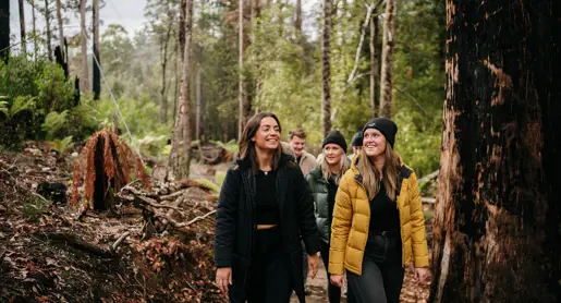 A group of friends smile as they walk along a forest trail among tall trees at Tahune Adventures in Geeveston