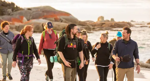 A Pakana/Palawa guide leads walkers along a sandy beach with orange lichen covered boulders, wukalina Walk