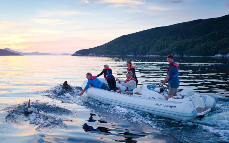 Dolphins break the service of the water near an inflatable boat with a small group of people, watching on.