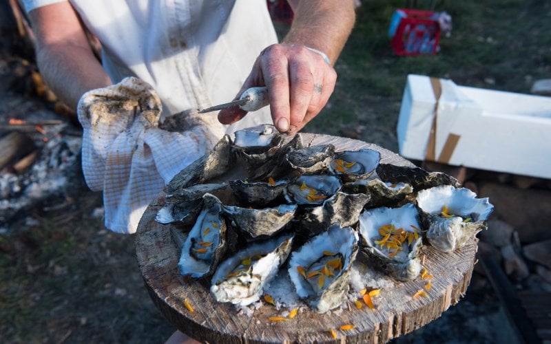 A man presents freshly shucked oysters garnished with flower petals on a wooden platter
